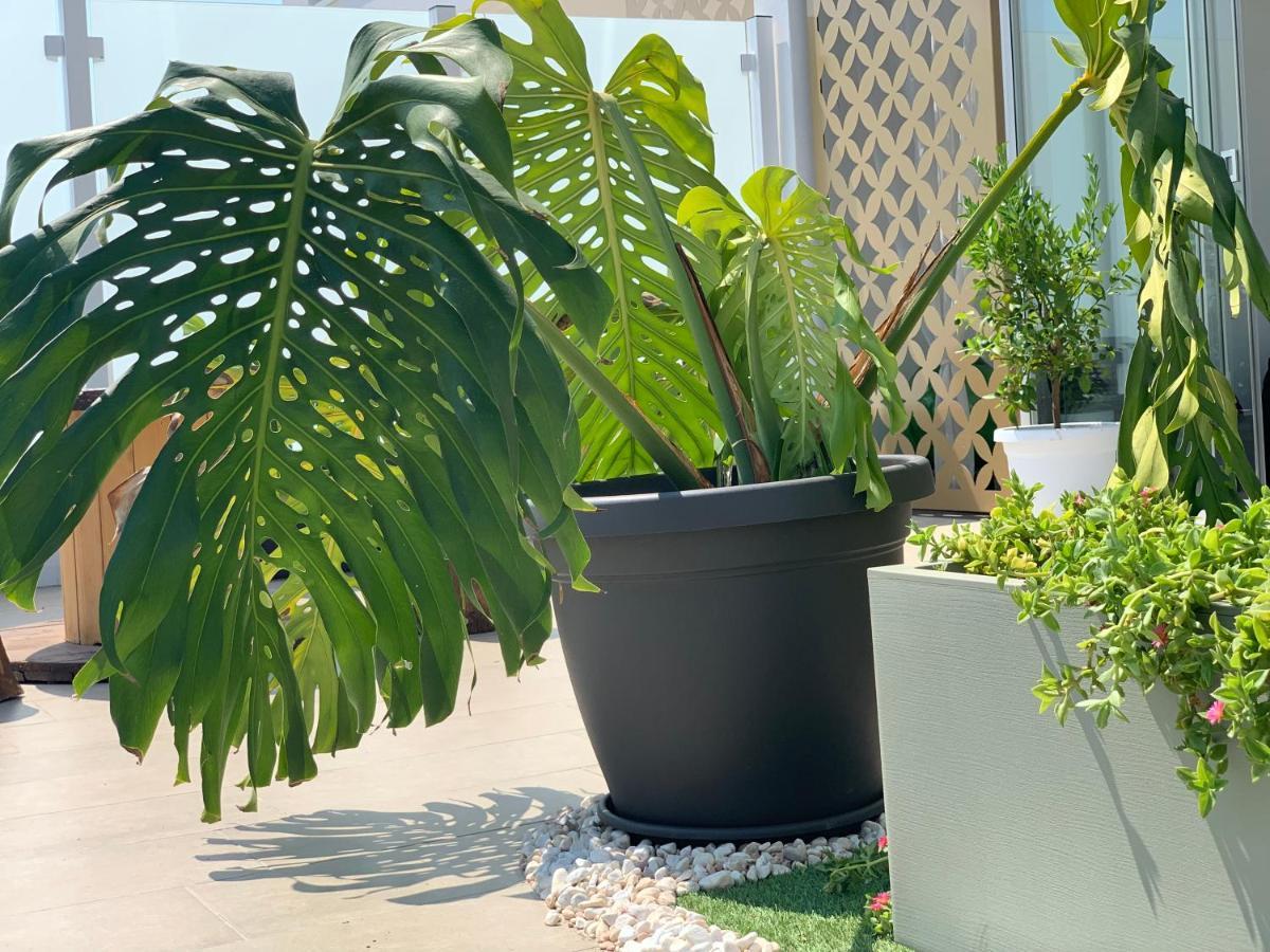 בארי Dalu Suite Terrace מראה חיצוני תמונה