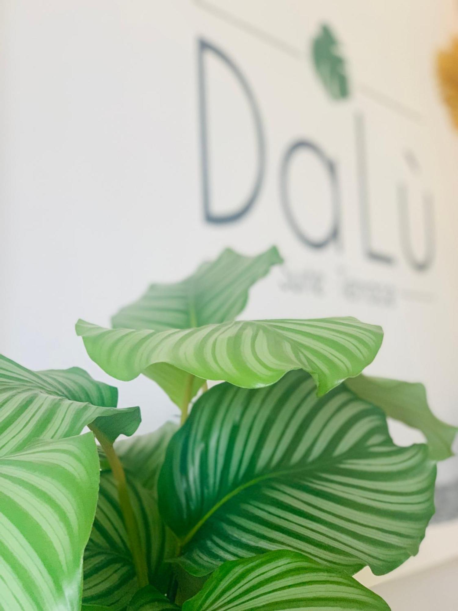 בארי Dalu Suite Terrace מראה חיצוני תמונה